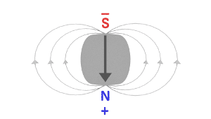 Magnetic Poles of an Atom